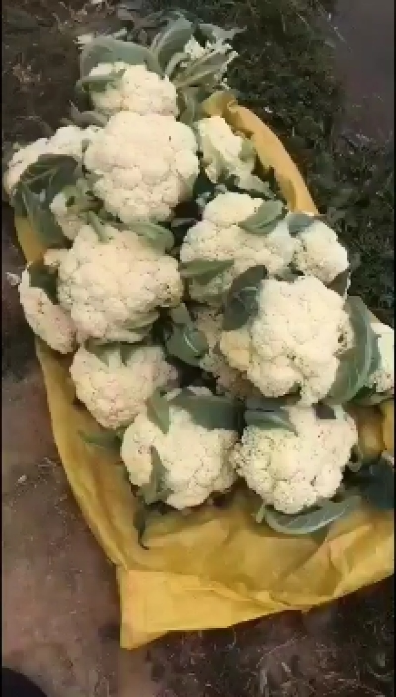散花大量上市需要的联系