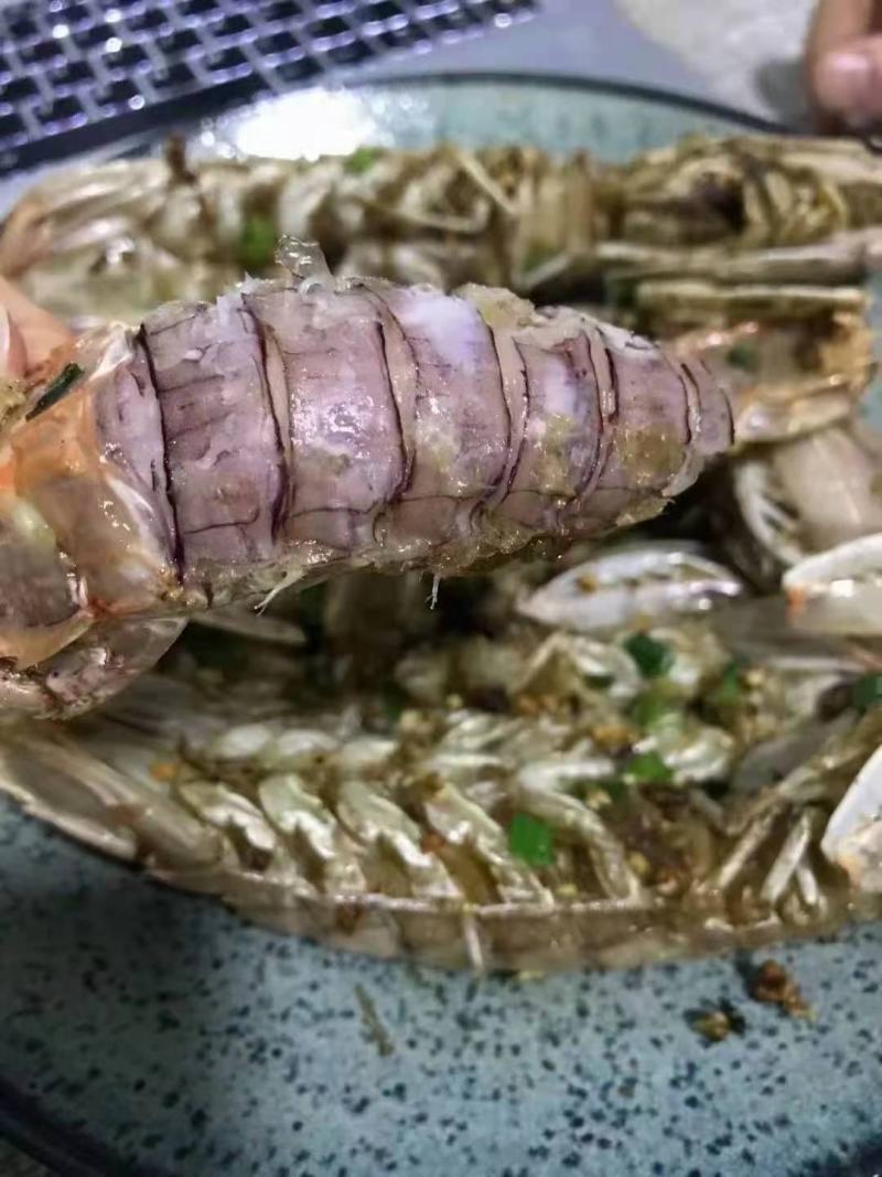 皮皮虾活煮索鲜肉质饱满，适合各大餐饮，社区团购