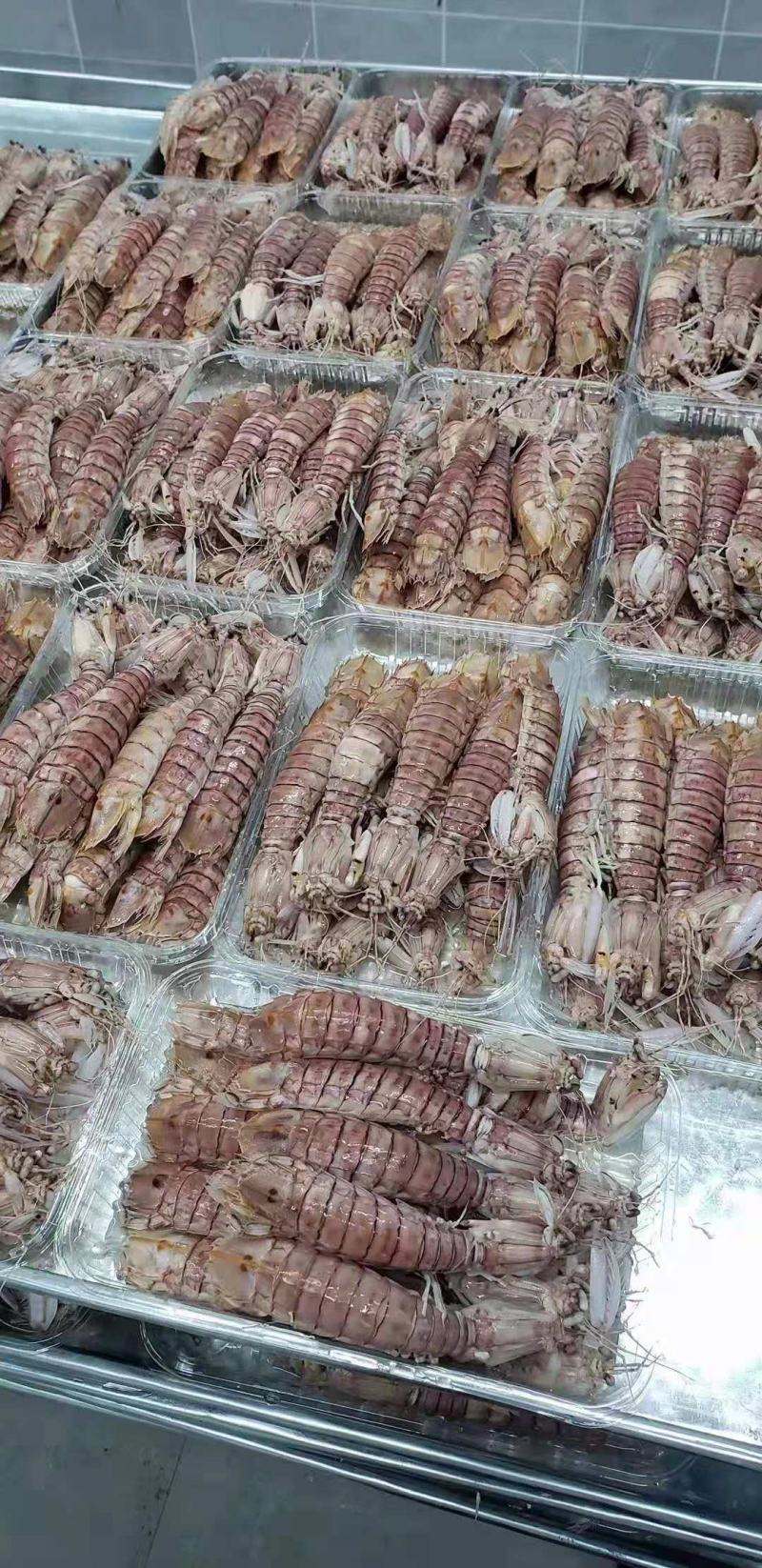 皮皮虾，活煮索鲜，爬爬虾，濑尿虾，肉质肥美，适合各大餐