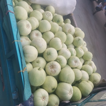 河南特产