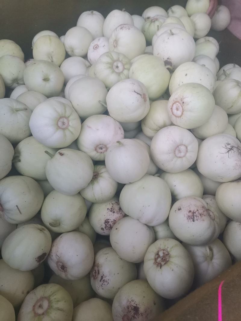 河南特产