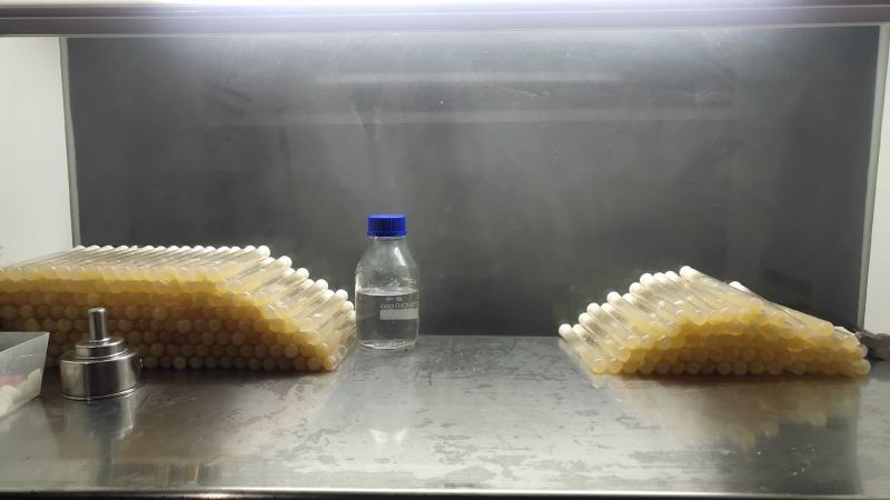 正规厂家销售六妹羊肚菌栽培种包技术包回收