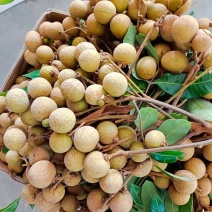 石硖
