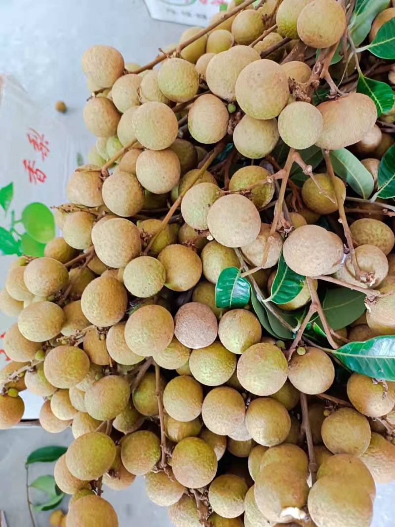 石硖