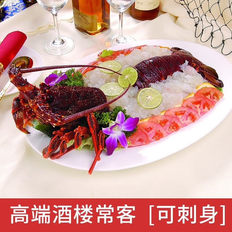 澳洲红龙大龙虾鲜活速冻锁鲜1.3～5斤规格统货价