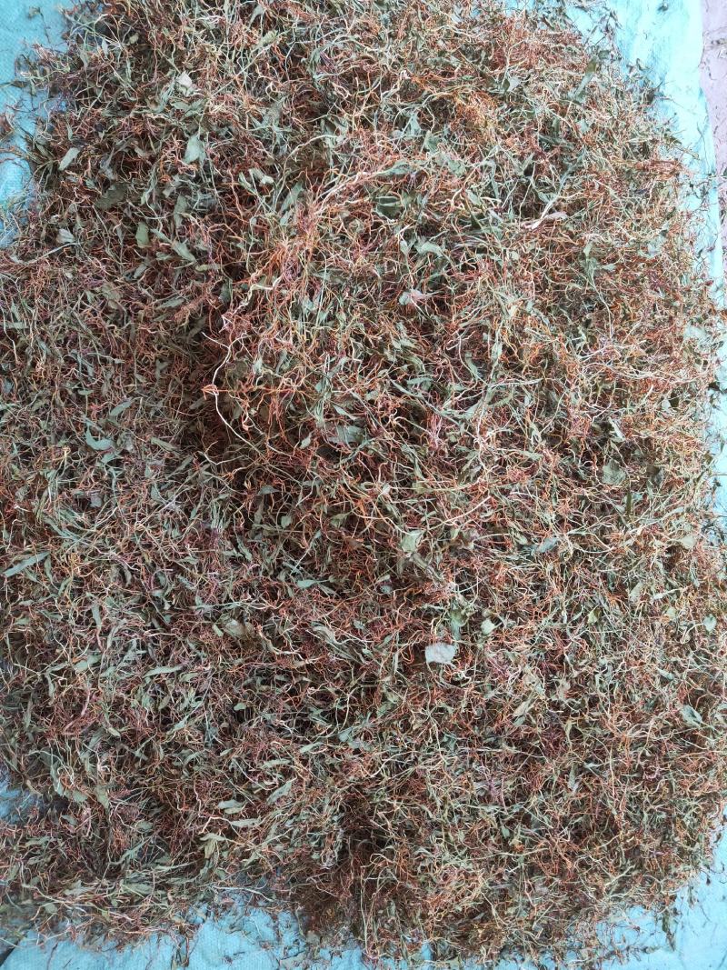 一支箭瓶儿草水洗干货