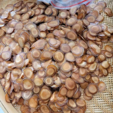吉林正宗鹿茸腊片腊片各种等级全腊片优质鹿茸片血片