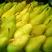 香蕉梨，又称贵妃梨，形状像葫芦，味道独特，水大果甜