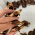 精品缘龟，纯种安，皖南品种，缘龟苗，纯安，缘龟苗