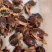 精品缘龟，纯种安，皖南品种，缘龟苗，纯安，缘龟苗