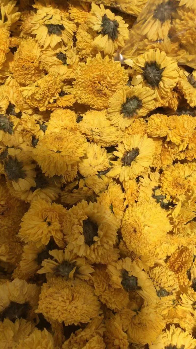 婺源皇菊花茶产地直销批发一手货源常年供应