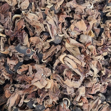 木棉花无硫干度好今年新货2斤起批不包邮
