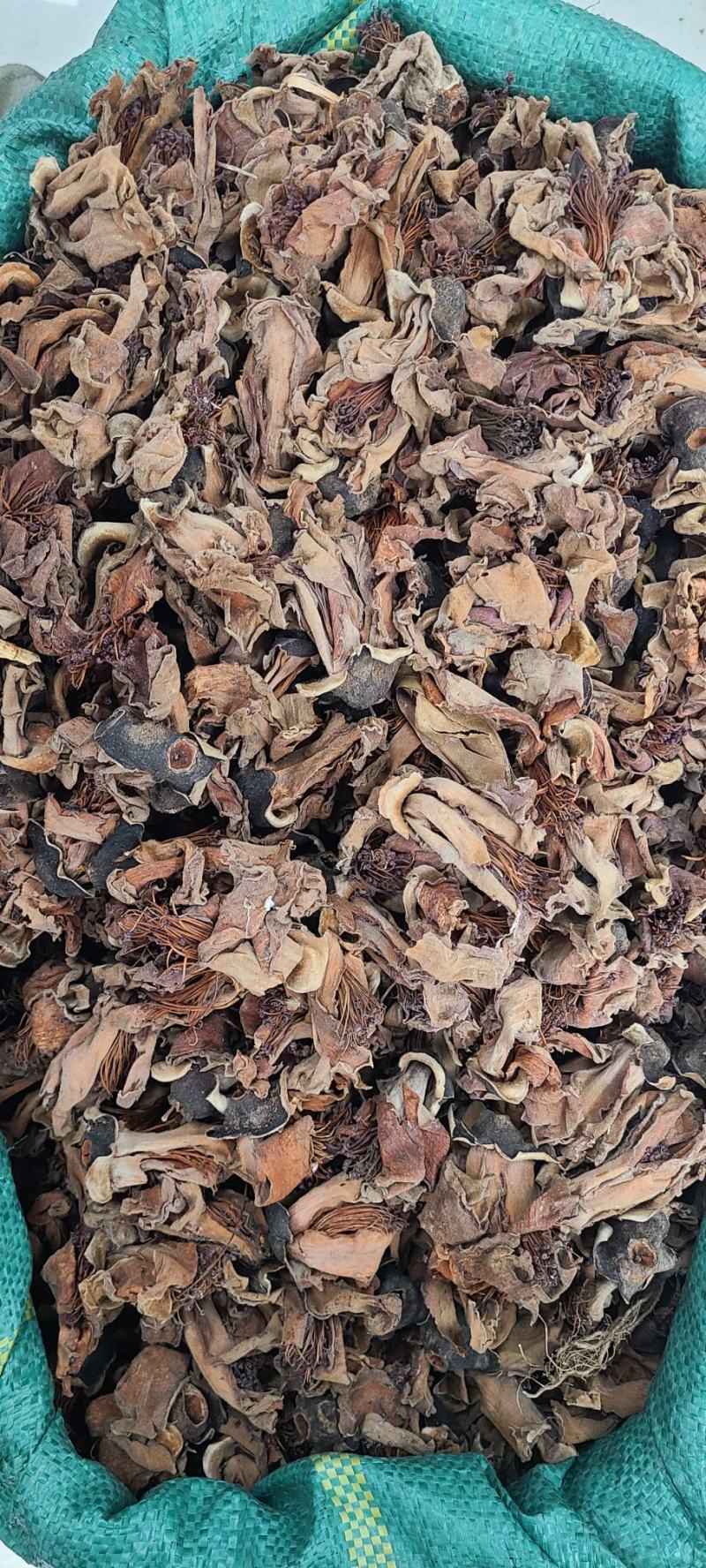 木棉花无硫干度好今年新货2斤起批不包邮