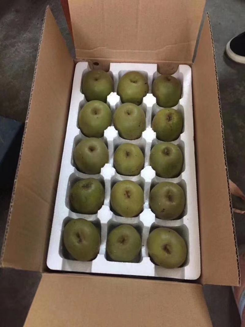 四川蒲江红心，东红，黄心猕猴桃品质上层量大从优预售中