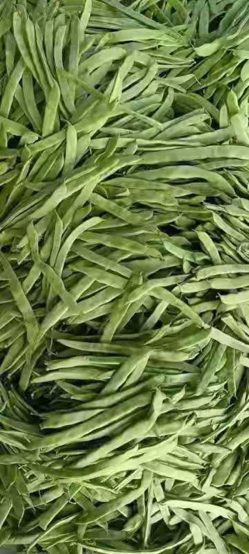 扁豆，好扁豆，新鲜扁豆，大量供应，