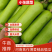 瓠瓜精品西葫芦葫子产地直发博爱瓠子诚信经营
