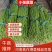 25年新鲜长豆角30万亩基地,产品优质,大量走货