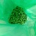 山东郯城翠绿宝毛豆万亩精品毛豆开心绿绿宝石