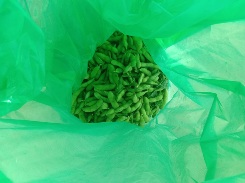 山东郯城翠绿宝毛豆万亩精品毛豆开心绿绿宝石