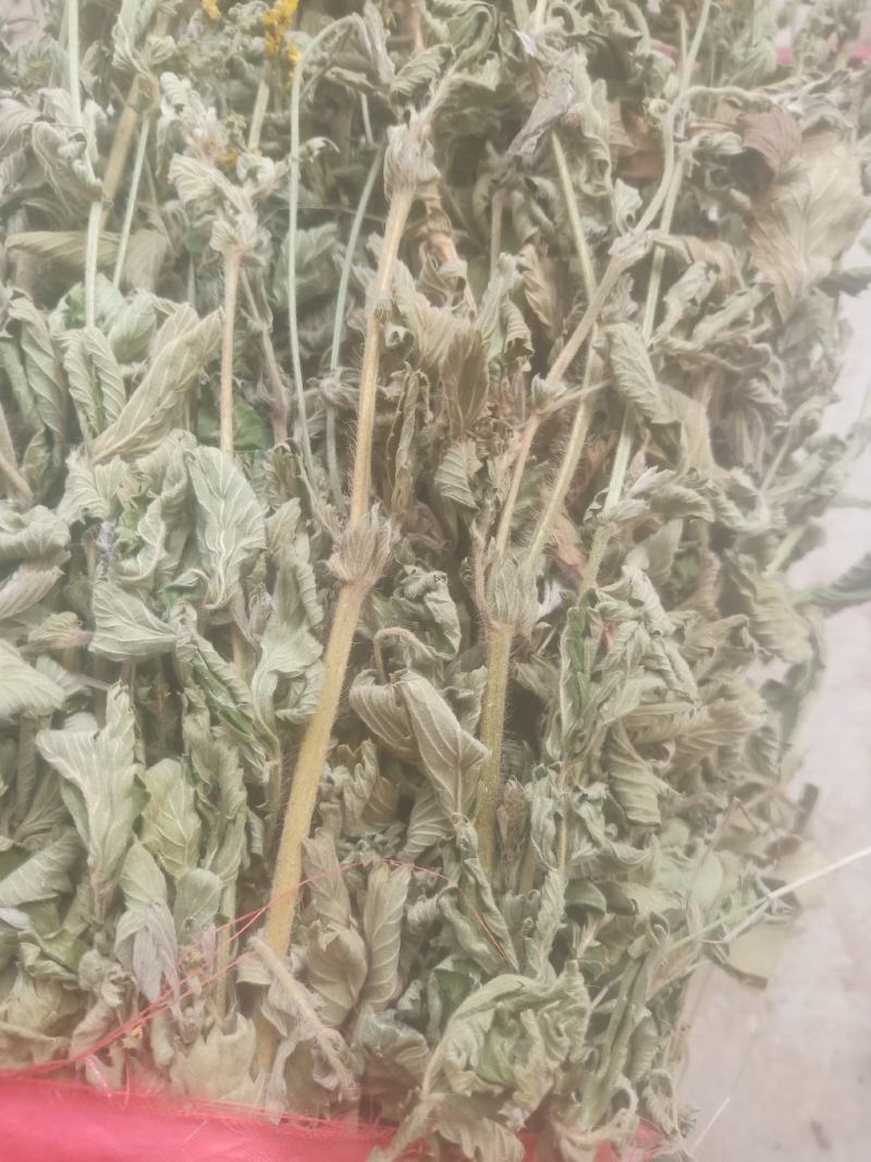 仙鹤草山东临沂产地直销当年新货颜色青绿色干净无杂质