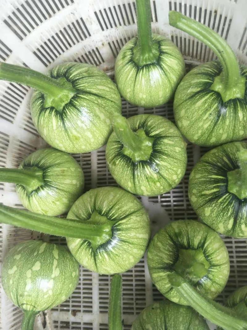 蔬菜