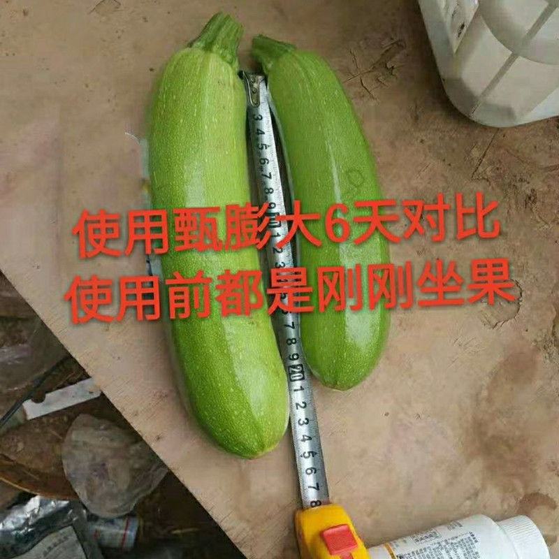 坤容臻膨大膨果上色增甜果亮适用于西红柿番茄甜瓜蔬菜水果