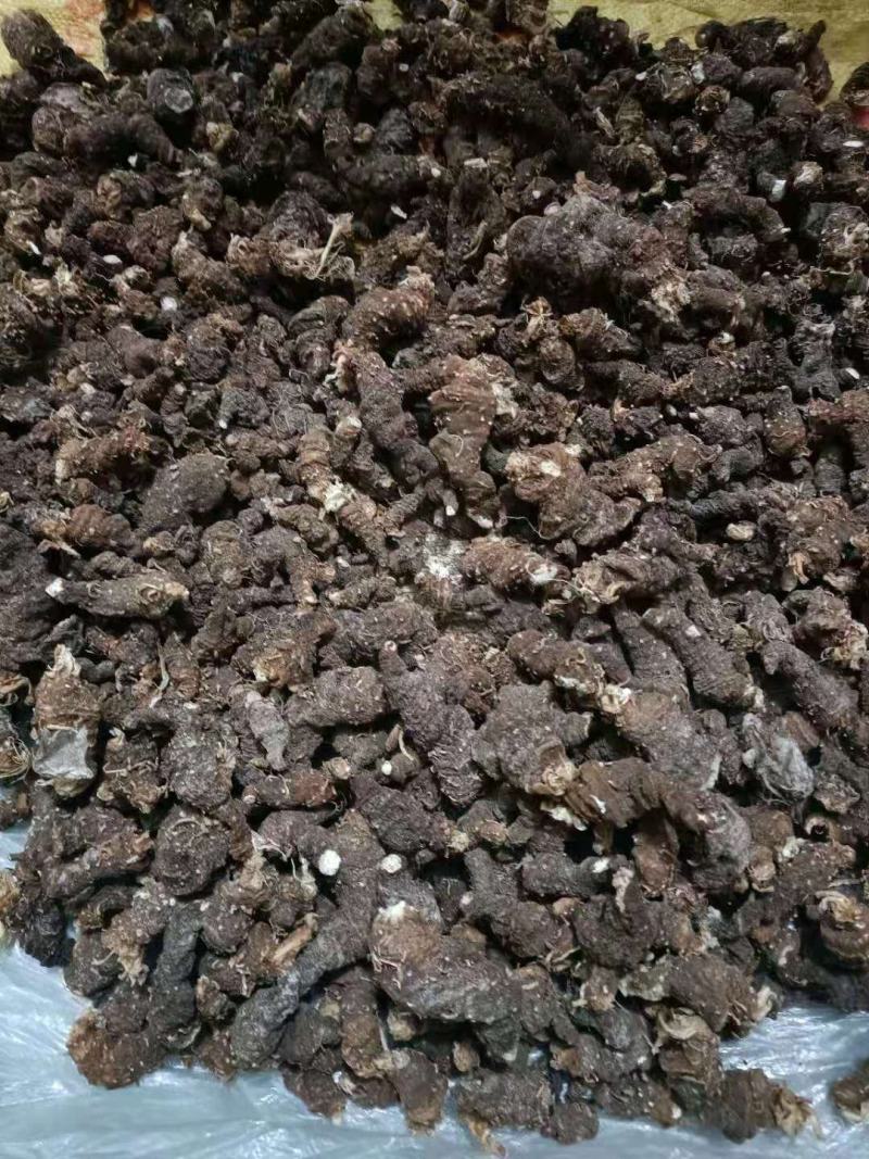 纯野生重楼（七叶一枝花）