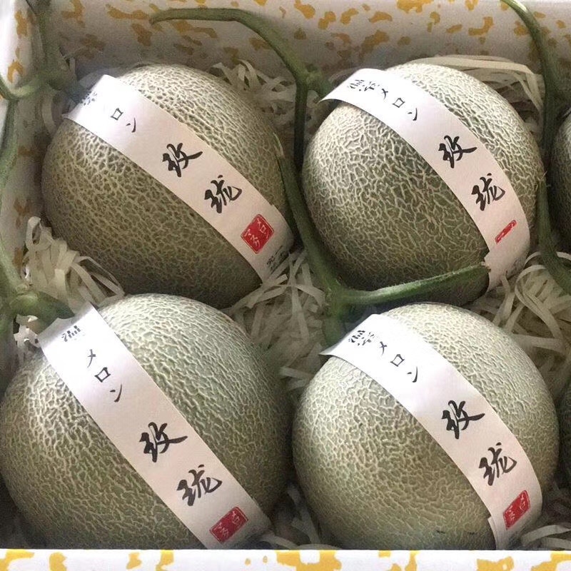 网纹系列美华、鲁厚甜网纹～冰激淋蜜瓜，口感好