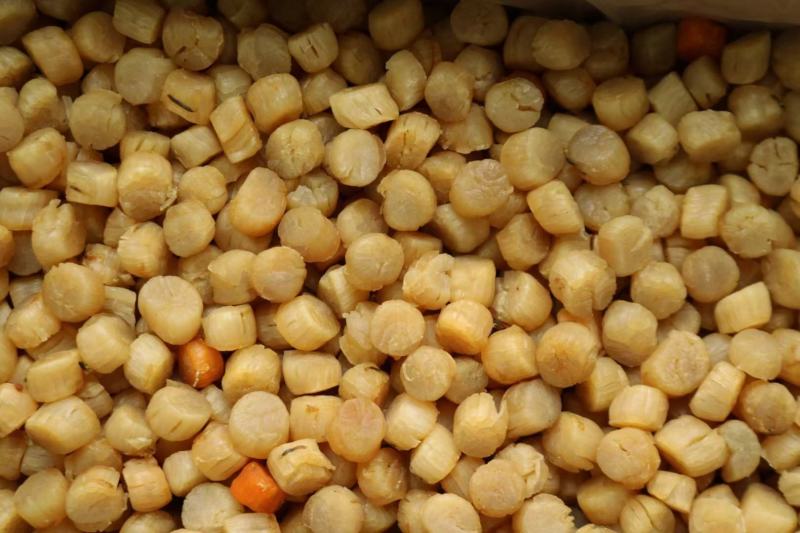 一德路500头大连元贝干贝瑶柱宝宝辅食煲汤煲粥原材料