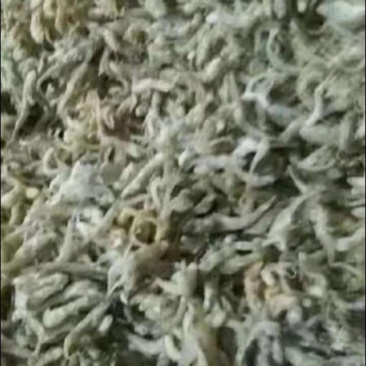 水产