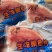 新鲜鲷鱼片冷冻料理食材冷冻海鲜生鱼片大份健身食材刺身