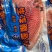 新鲜鲷鱼片冷冻料理食材冷冻海鲜生鱼片大份健身食材刺身