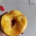 金黄金桃（离核黄金桃口感好吃营养丰富）