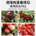 【十三元素叶面肥】厂家直发，包邮到家。补充各种微量元素