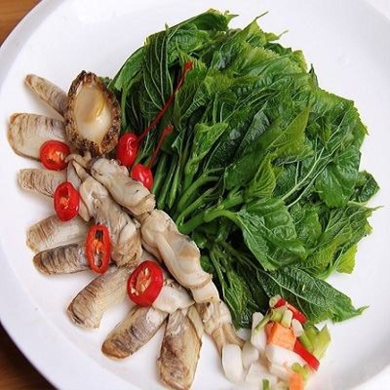 新鲜桑鲜尖速冻桑芽菜桑树芽冷冻桑嫩芽酒店养生食用桑叶菜