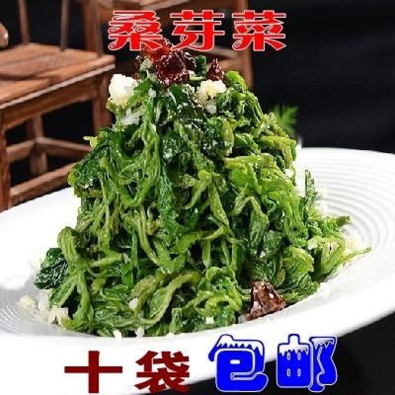 新鲜桑鲜尖速冻桑芽菜桑树芽冷冻桑嫩芽酒店养生食用桑叶菜
