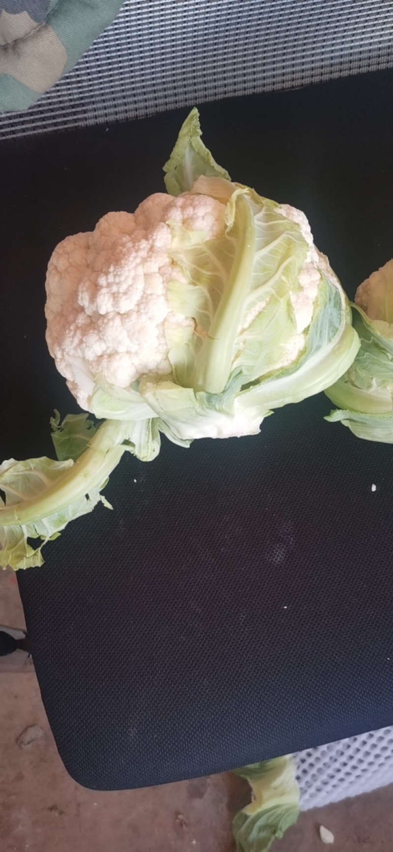 精品菜花大量有货，需要的联系