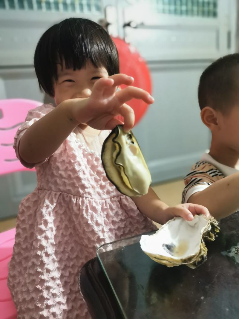 福建精品葡萄牙三倍体本地二倍体吊蚝，接受大包装，小包装
