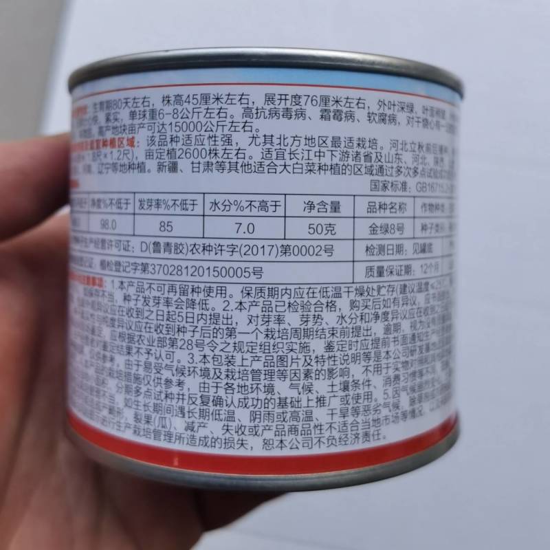 高品种！长筒型大白菜种子，超北京三号，抗病高产冬储