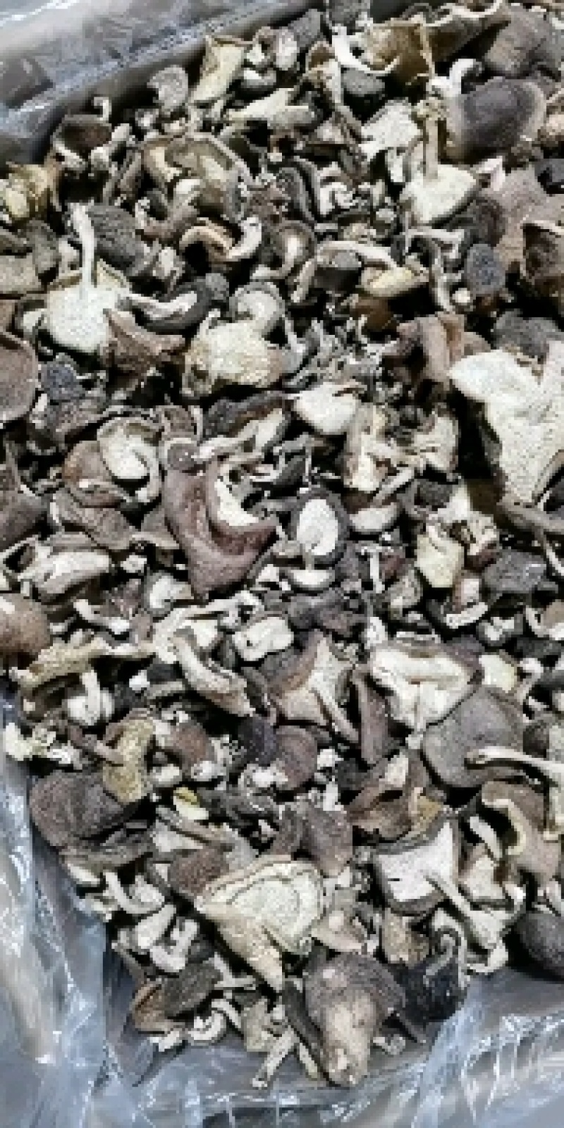 云南野生香菇.干香菇.香菌.新货全干头茬