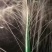 节水灌溉微喷带φ22-63喷灌带韧性强雾化好高压喷带