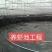 蓄水池防渗鱼塘，污水处理垃圾填埋场防渗膜土工膜厂家供应