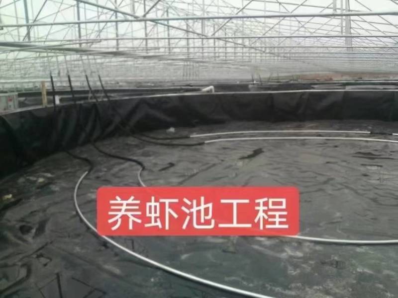 蓄水池防渗鱼塘，污水处理垃圾填埋场防渗膜土工膜厂家供应
