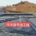 蓄水池防渗鱼塘，污水处理垃圾填埋场防渗膜土工膜厂家供应