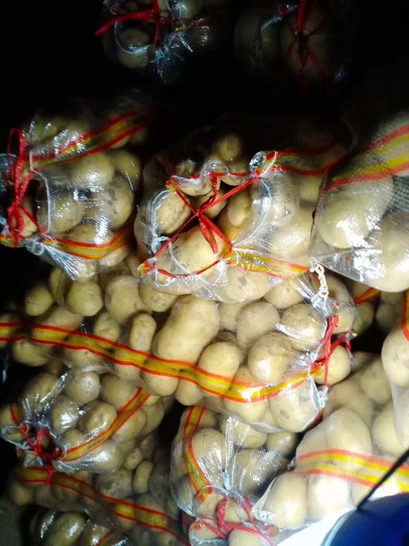 内蒙古武川优质226土豆基地直供，规格齐全，代发全国