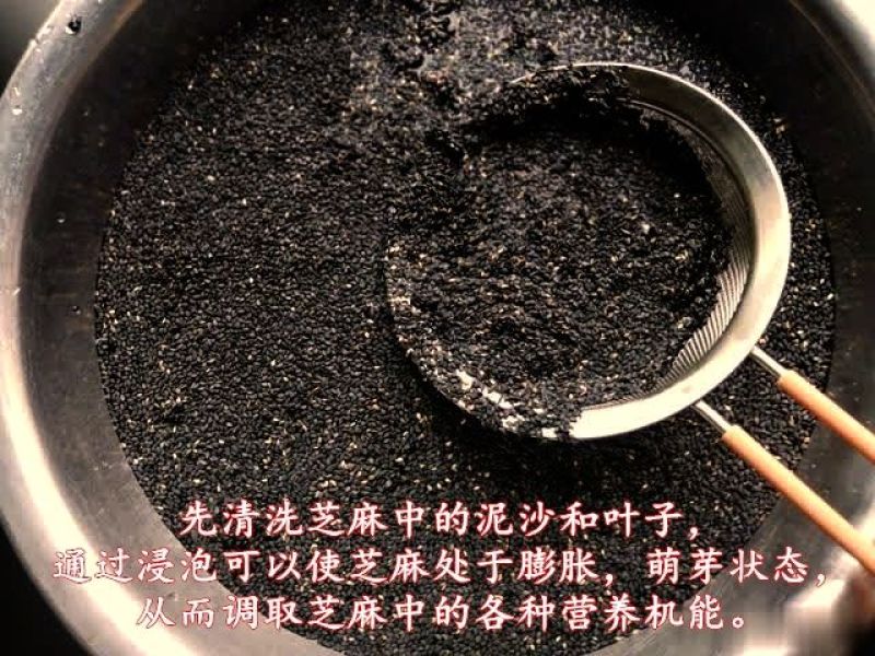 纯正黑芝麻香油白芝麻油正宗小磨香油无添加月子油