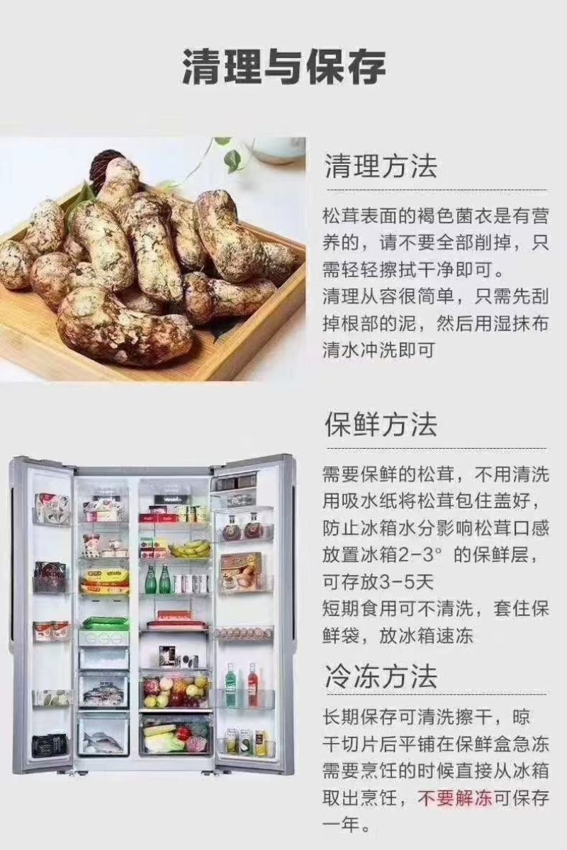 松茸