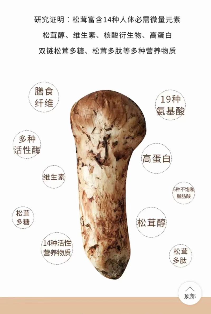松茸