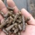 花生秧牛羊马草全国发货质量保证买家运费自理
