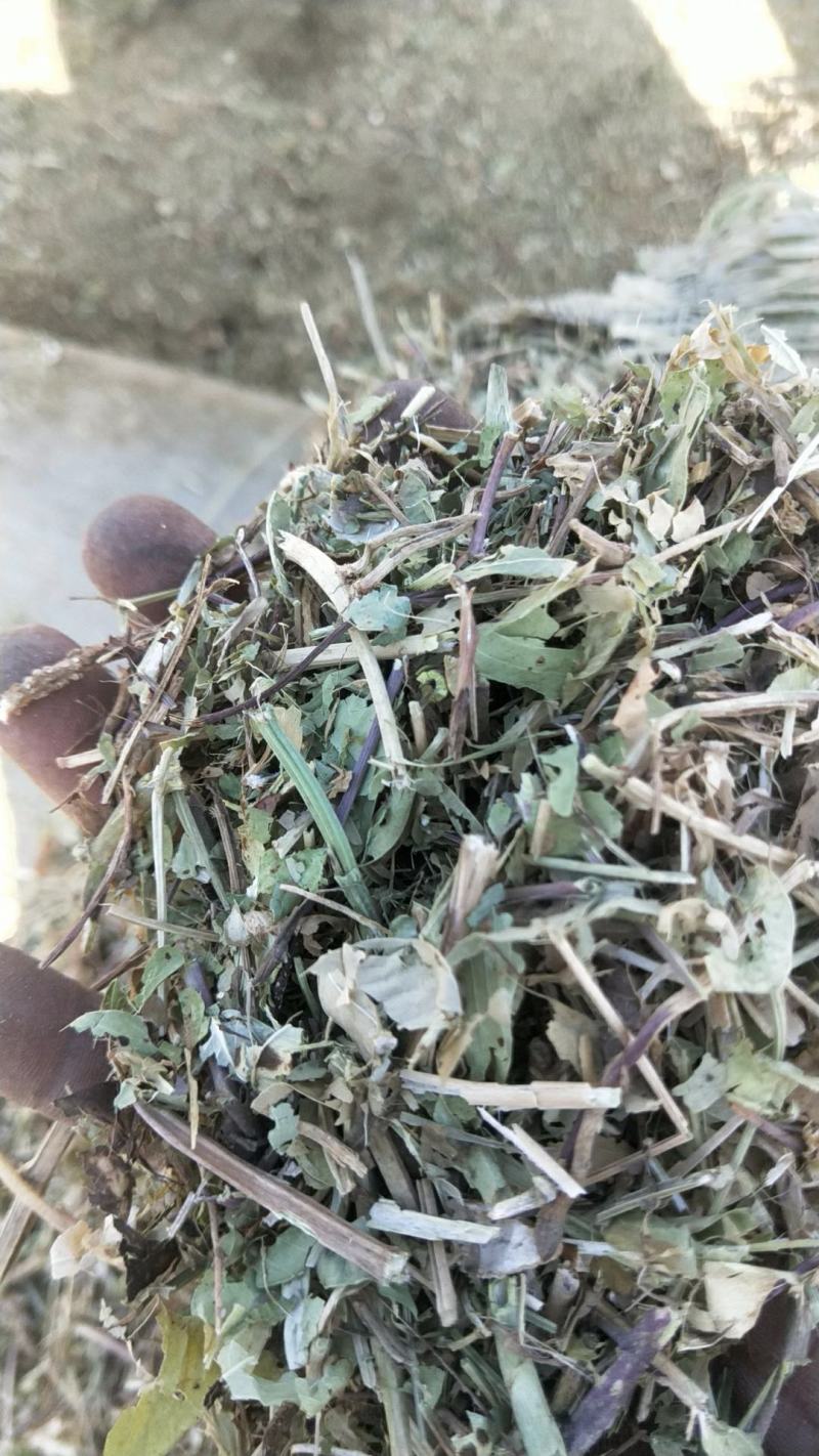 花生秧牛羊马草全国发货质量保证买家运费自理